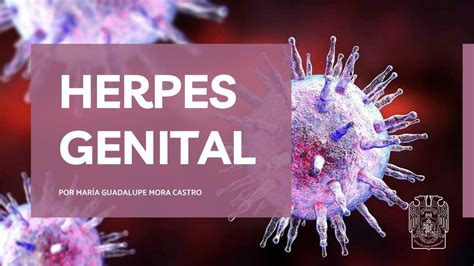 Herpes Genital Lupita Mora UDocz