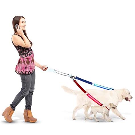 Best Dog Leash 2018: HUGE Review of Top 10 Best Leashes for Dogs