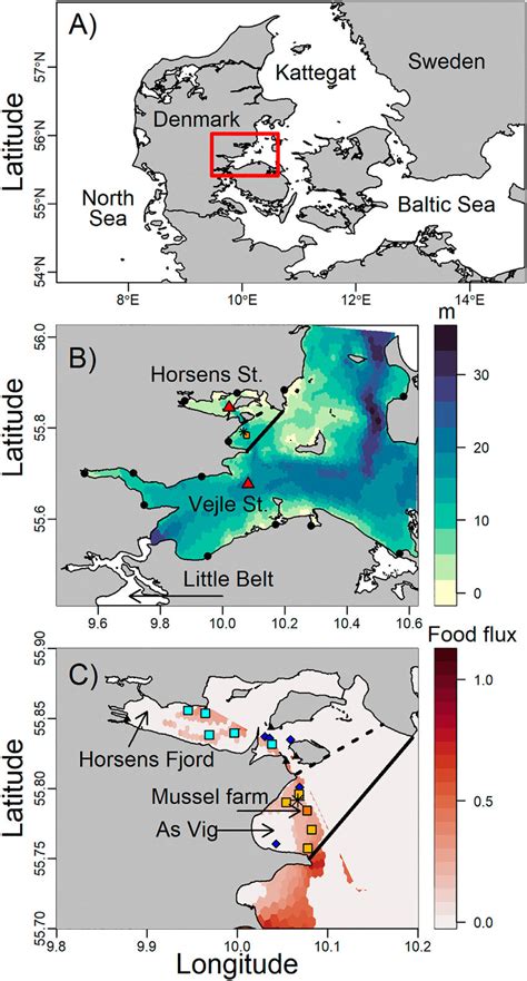 A) Map of the study area (red square) in the SW Kattegat, B) model ...