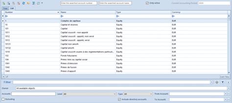 chart  accounts   french  spanish system version comarch