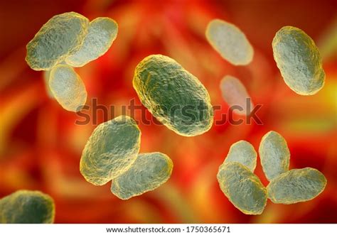 Haemophilus Influenzae Bacteria 3d Illustration Gramnegative Stock Illustration 1750365671