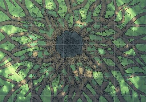 Ancient Tree Roots Fantasy Rpg Battle Map By Minute Tabletop