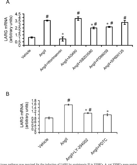 Figure From Angiotensin Ii Up Regulates The Leukemia Associated Rho