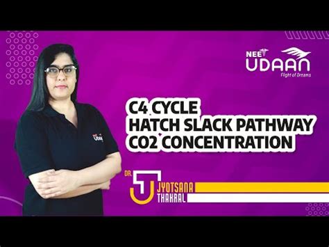 C4 Cycle Hatch Slack Pathway CO2 Concentration Dr Jyotsana Thakral