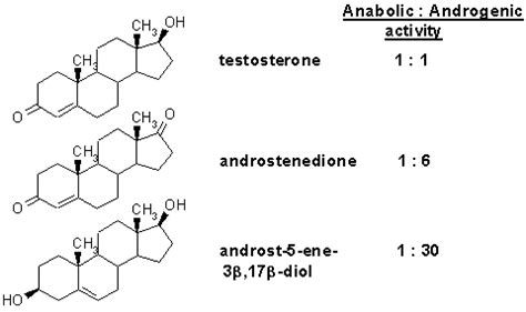 Androgenic Agents