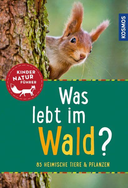 Was Lebt Im Wald Kindernaturf Hrer Elviras Bastelmaterial