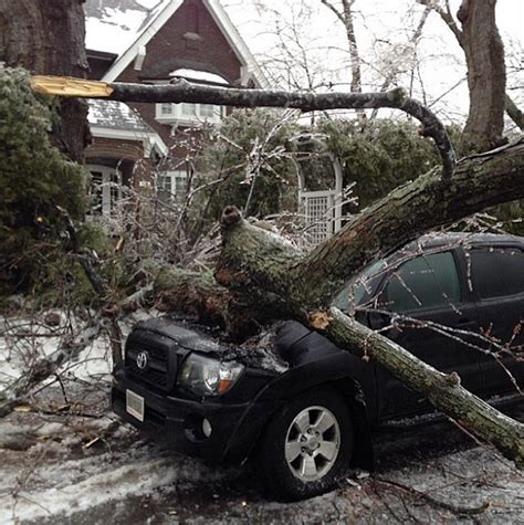 What The Insane Ice Storm Crippling Toronto Looks Like