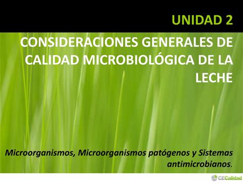 PPT MICROBIOLOGÍA INDUSTRIAL DE PRODUCTOS LÁCTEOS PowerPoint