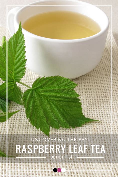 Red Raspberry Leaf Tea