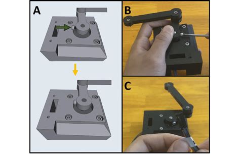 A C The Procedure For Tightening The Arm Assembly Onto The Lower Download Scientific Diagram