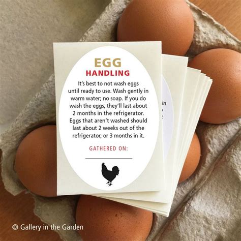 Fresh Farm Eggs Handling Instructions