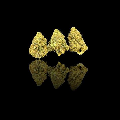 High Thca Gorilla Glue Budget Strain Hmp Store