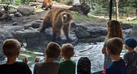 Sioux Falls Outdoor Fun In South Dakotas Largest City