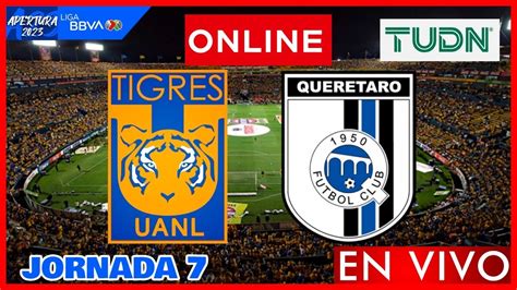 Tigres Vs Querétaro En Vivo Jornada 7 Liga Mx Apertura 2023