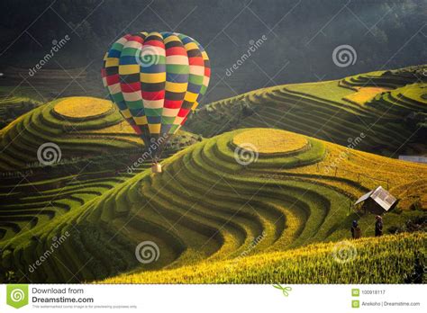 Hot Air Balloon Over Rice Field In Mu Cang Chai Stock Image Image Of