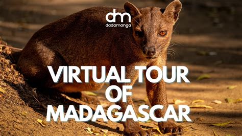 Exploring The Wonders Of Madagascar Breathtaking Landscapes Unique