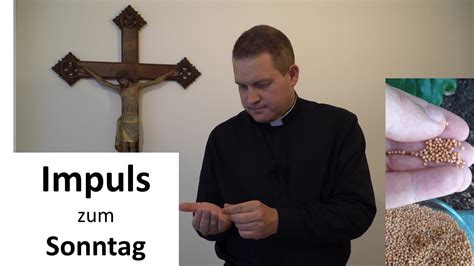 Impuls Zum Sonntag 16 06 2024 11 Sonntag Im Jahreskreis B YouTube