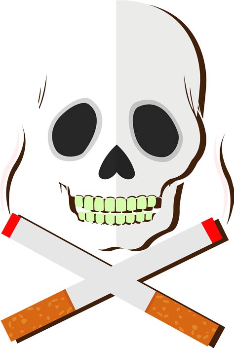 Cigarette Clipart Smoke Line Cigarette Smoke Line Transparent Free For