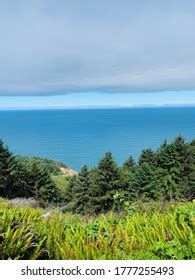 Beautiful Hiking Trails Gold Beach Oregon Stock Photo 1777255493 ...