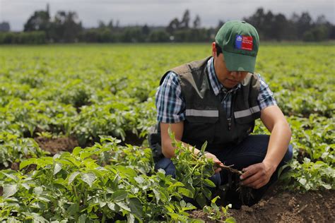 Servicio Agrícola y Ganadero SAG Autor Jaime Bascuñan Vale Flickr