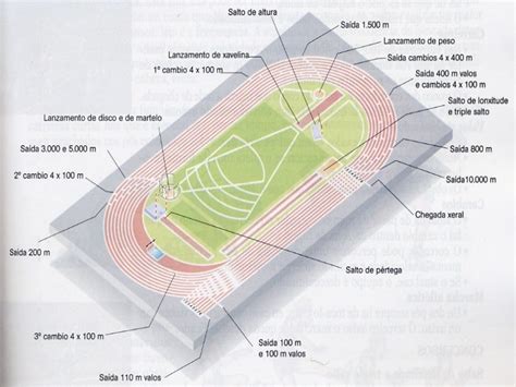 Pistas De Atletismo Con Todas Sus Partes