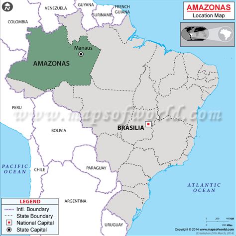 Where is Amazonas Brazil