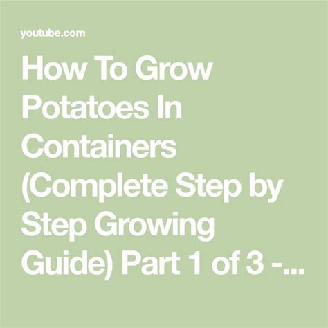 How To Grow Potatoes In Containers Complete Step By Step Growing Guide Part 1 Of 3 Youtube