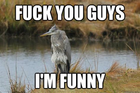Fuck You Guys I M Funny No Upvote Quickmeme