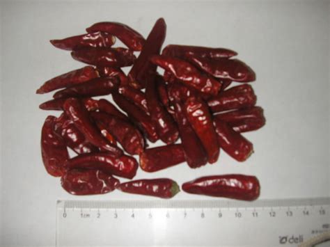 Dried Red Hot Chili Pods China HSL Price Supplier Food