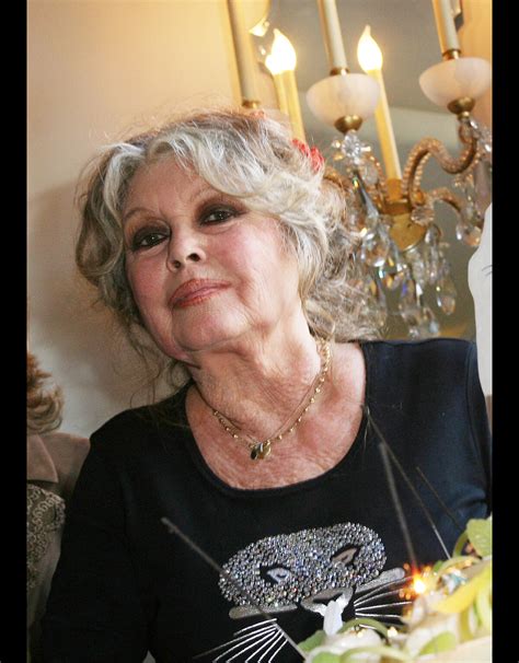 Photo Brigitte Bardot Lors Des Ans De La Fondation Brigitte Bardot