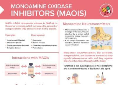 Maoi Drugs Free Cheat Sheet Lecturio Nursing