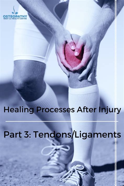 Healing Processes After Injury: Part 3 – Tendons and Ligaments