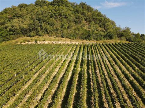 Terreno Agricolo Bozner Stra E Appiano Sulla Strada Del Vino Rif