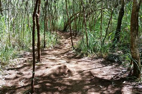 Ehukai Pillbox Hike is THE North Shore peace pillbox hike with amazing views! 🌴 peace pillbox ...