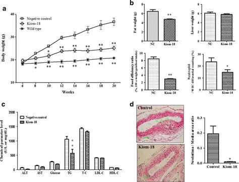 Effect Of Kiom Extract On The Formation Of Atherosclerotic Plaque