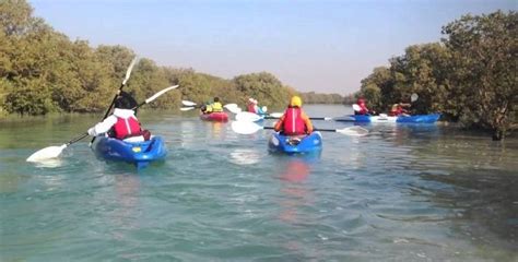 Al Thakira Mangroves The Most Visited Place In Qatar