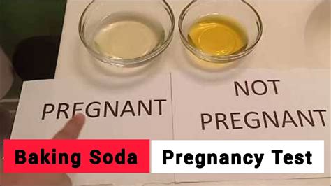 Pregnancy Test With Baking Soda Malayalam Youtube