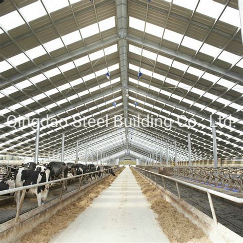 Ce Prefabricated Steel Structure Cattle Shed Construction Cow Poultry