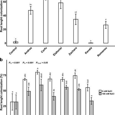 Root Length Colonization Of Olive Plants By Arbuscular Mycorrhizal