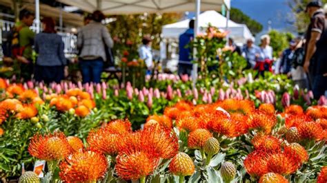 Merano Flower Festival 3 Aussteller Geehrt