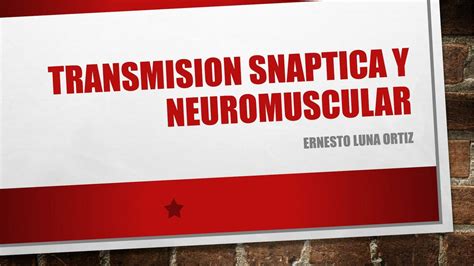 TRANSMISION SINAPTICA Y NEUROMUSCULAR Un Poco De Cursos UDocz