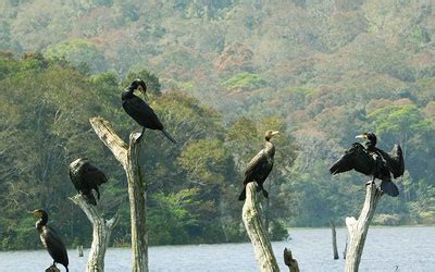 Periyar Wildlife Sanctuary