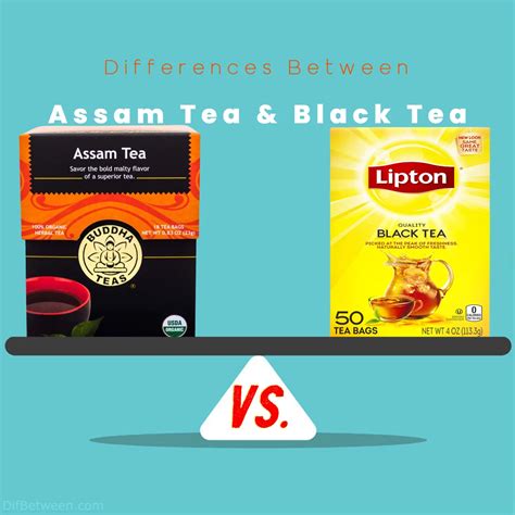 Assam Tea Vs Black Tea Discovering Unique Flavors