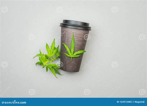 Cannabis CBD Infused Coffee in Disposable Cups with Hemp Leaves Against ...