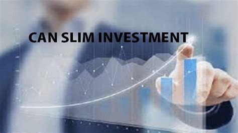 Can Slim Investing System Review and Guide - StockManiacs