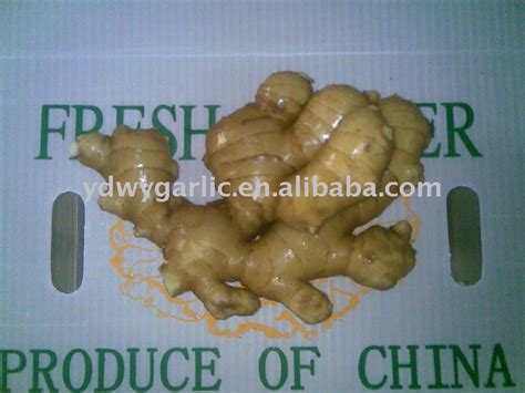 Gingerchina Price Supplier 21food