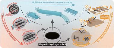 Magnetic Actuated Hydrogel Microrobots With Multimodal Motion And