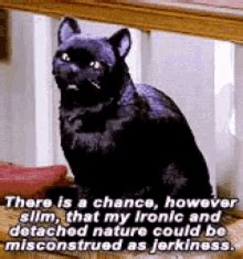 Salem Saberhagen GIFs | Tenor