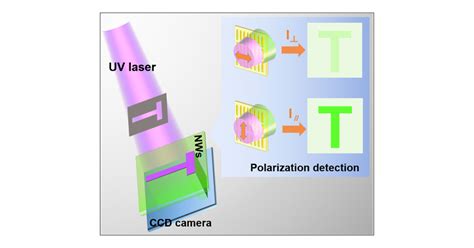 Strong Polarized Photoluminescence Cspbbr3 Nanowire Composite Films For