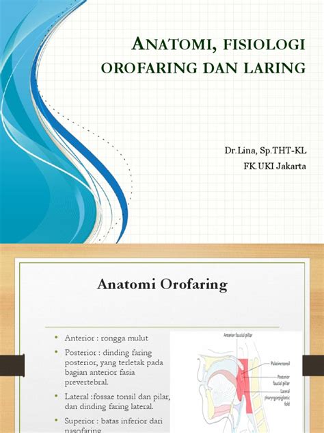 Anatomi Fisiologi Orofaring Dan Laringpptx